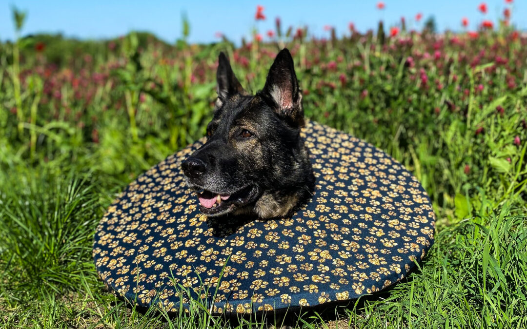 Je látkový límec vhodný při zranění oka?