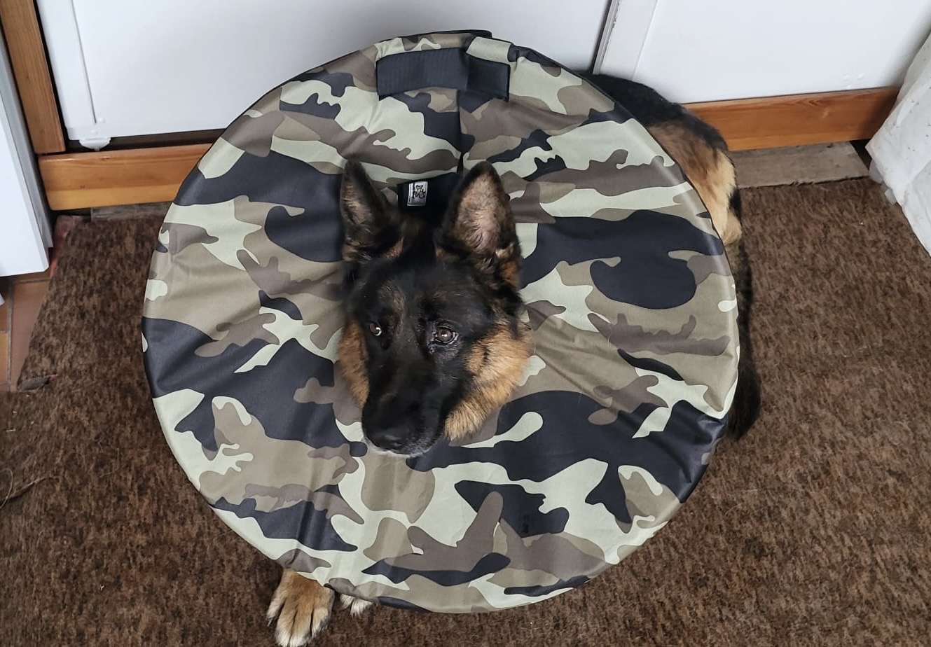 Límec pro psa látkový