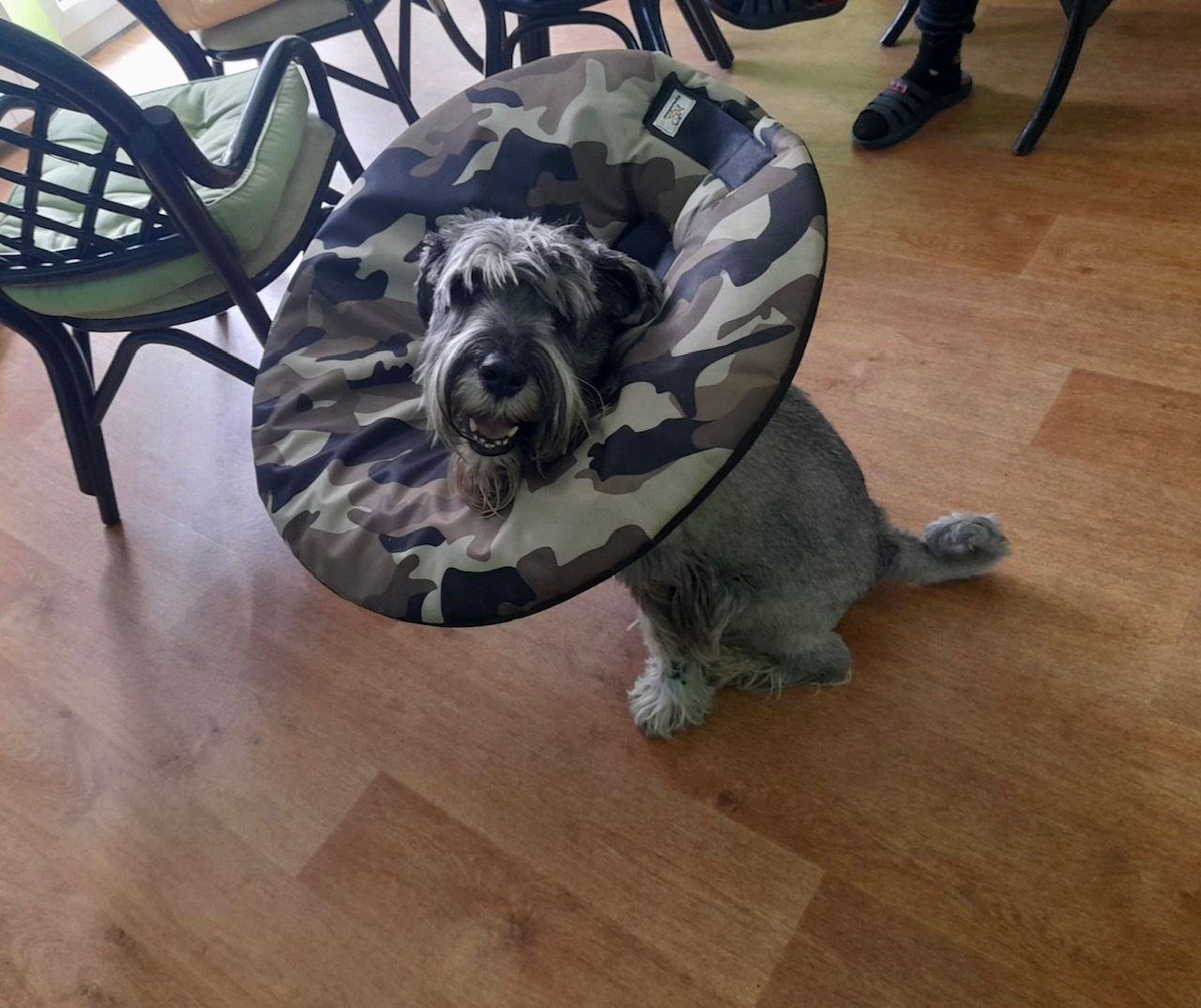 Ochranný límec látkový