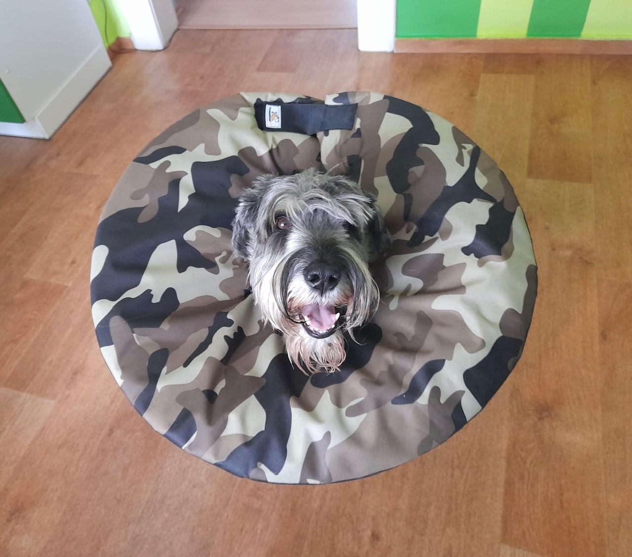 Ochranný látkový límec pro psa po operaci