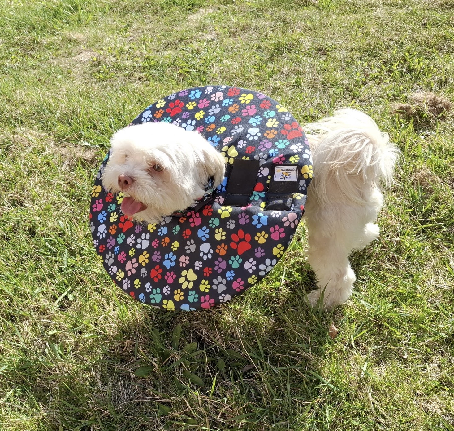 Pooperační límec pro psa látkový