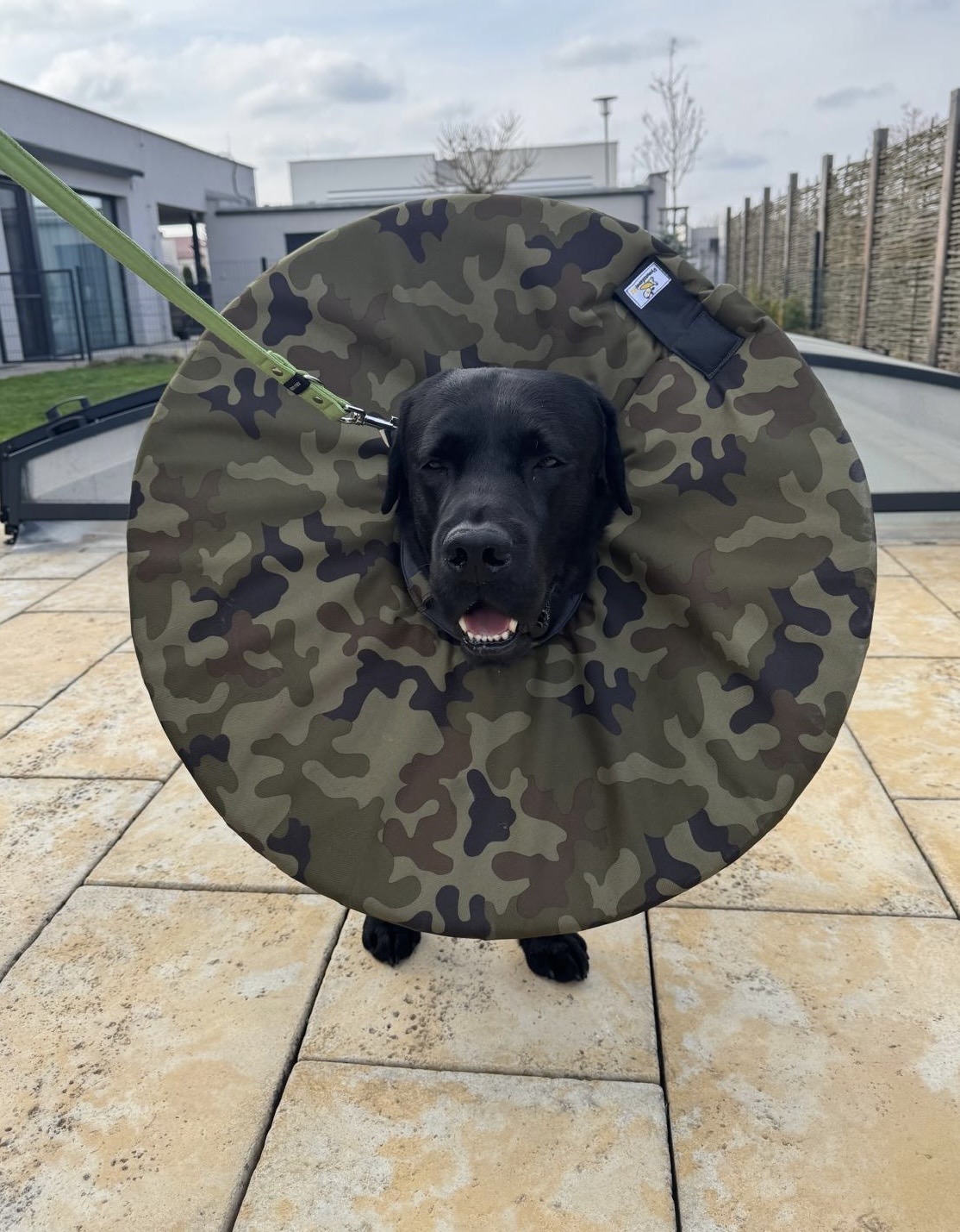 Látkový ochranný límec pro malé i velké psy