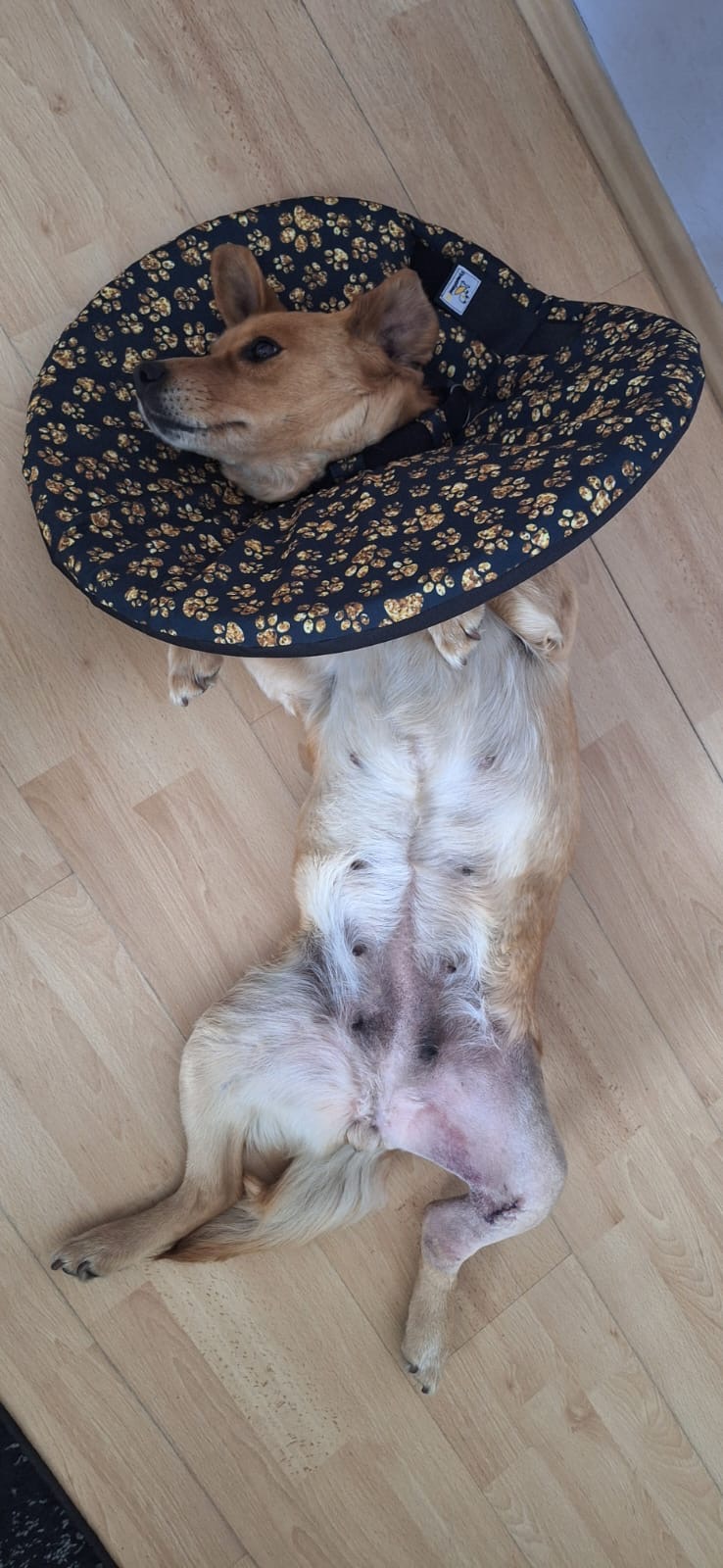 pohodlný látkový límec šitý na míru