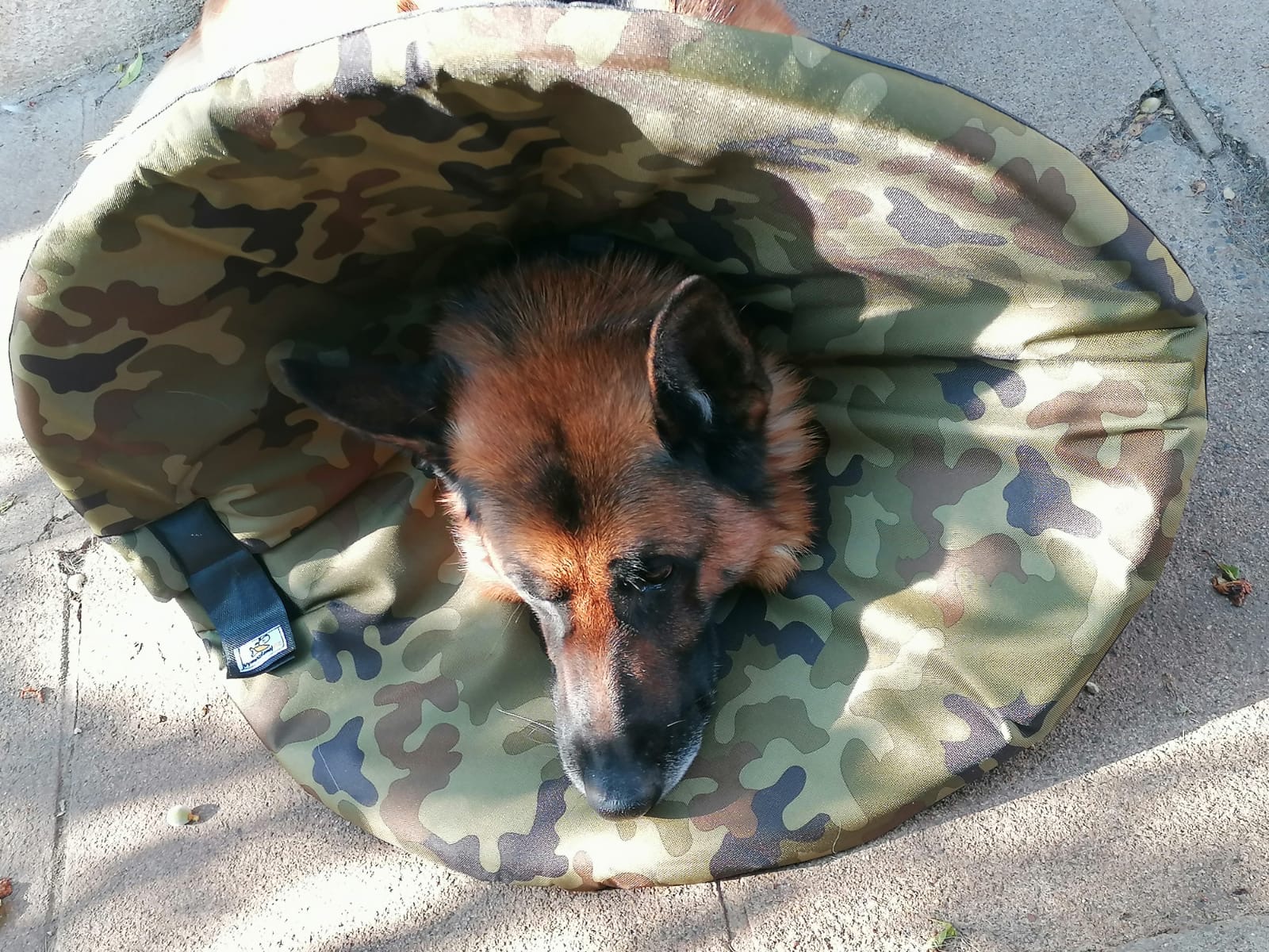 měkký ochranný límec šitý na míru