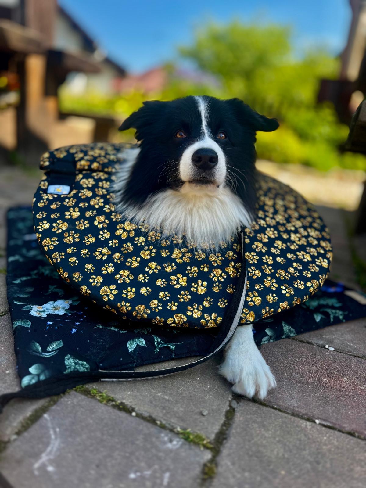 alternativa k plastovému límci měkký látkový límec pro velké i malé psy