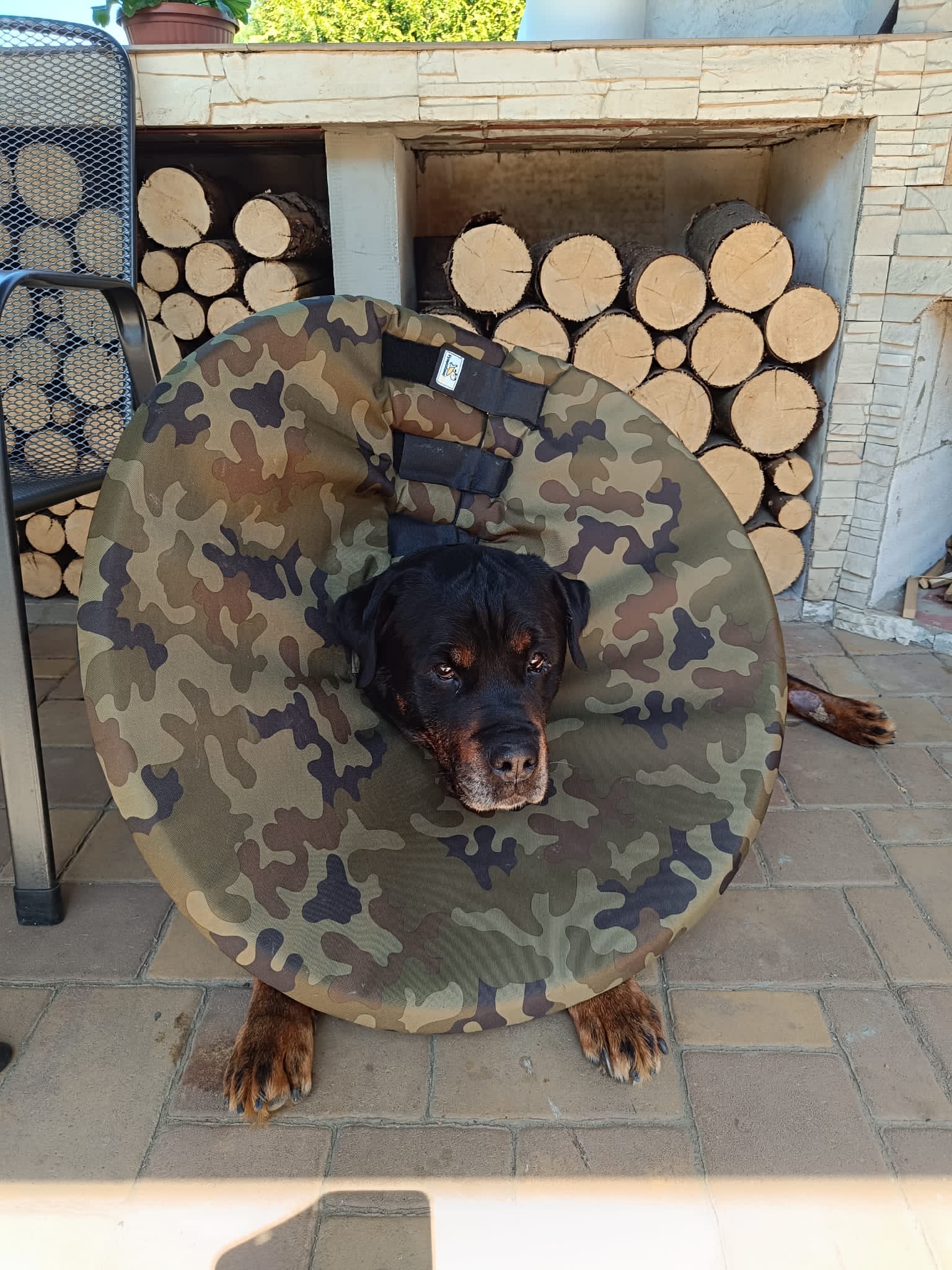 krunýř pro malé i velké psy, látkový límec šitý na míru