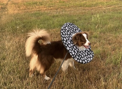 límec na míru - látkový, pohodlný, šitý na míru