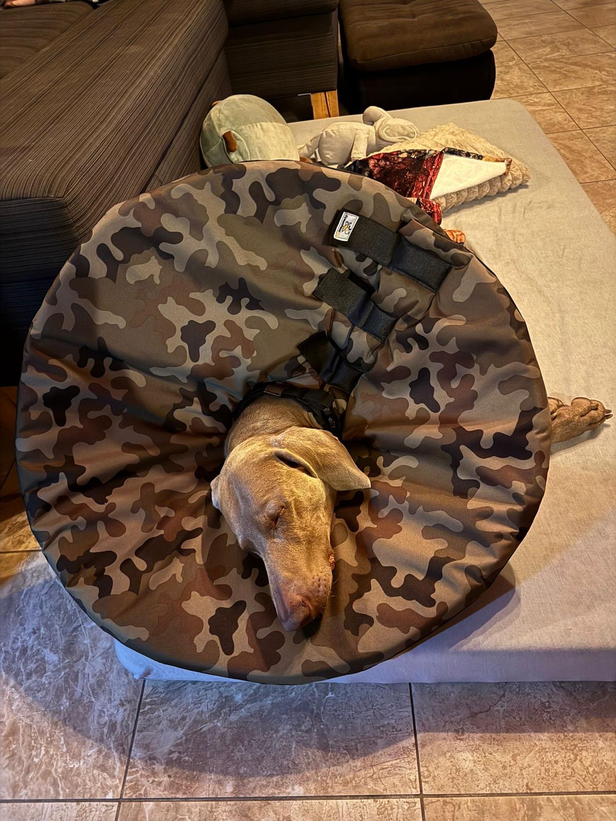 Ochranná veterinární pomůcka pro psa po operaci